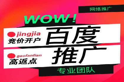SEM竞价托管代运营成功案例解析
